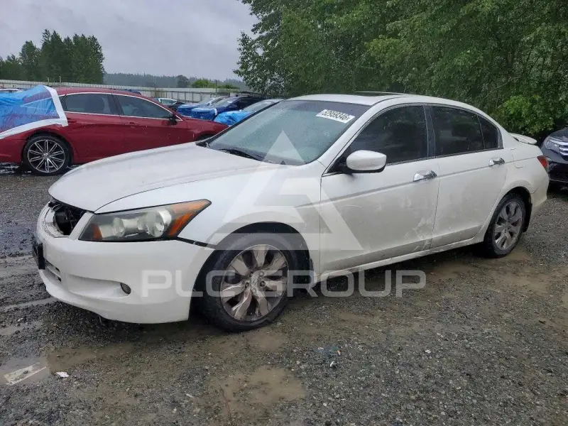 2008 Honda Accord фото