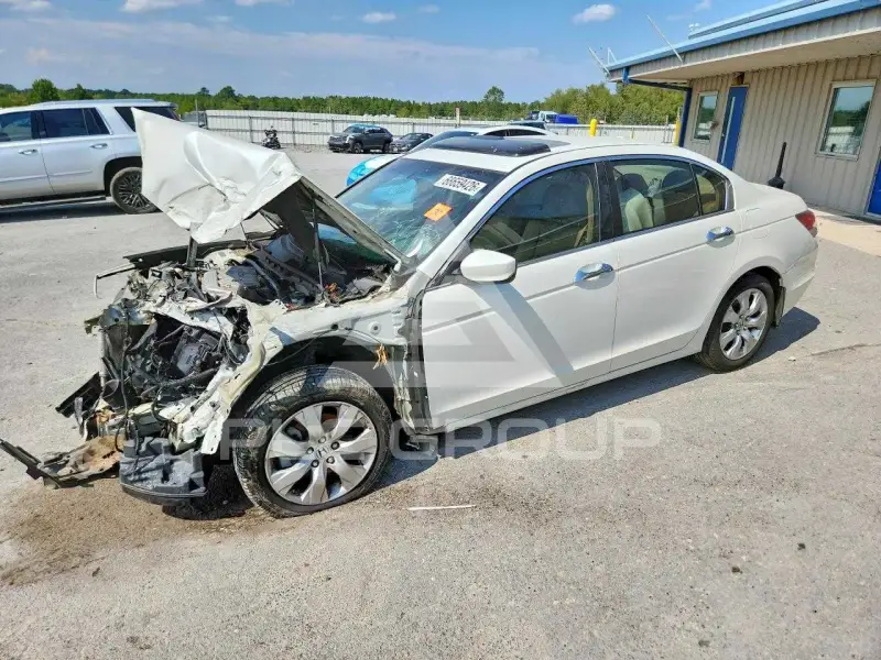2008 Honda Accord фото