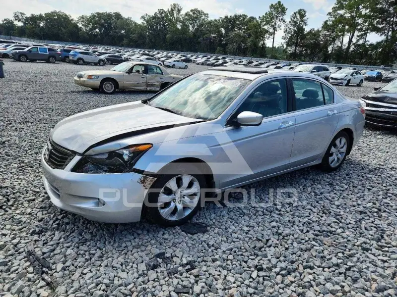 2008 Honda Accord фото