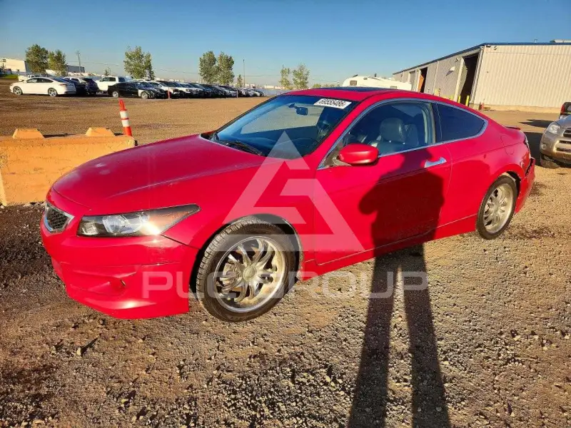 2008 Honda Accord фото