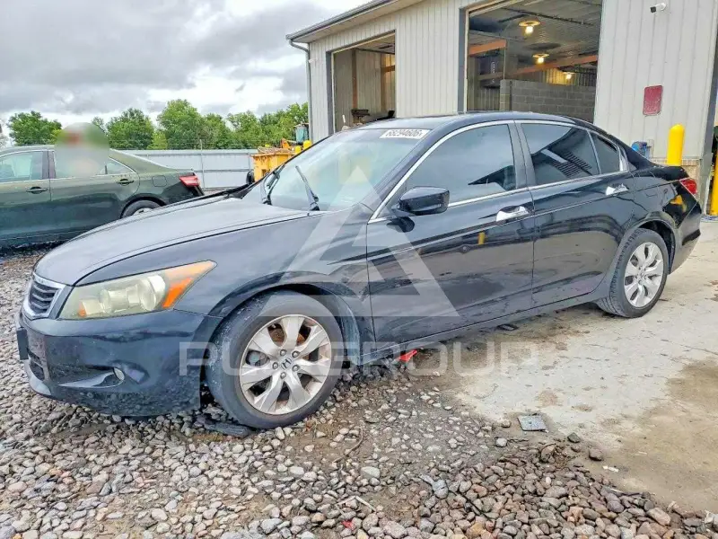2008 Honda Accord photo