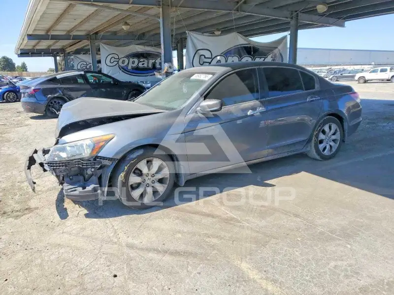 2008 Honda Accord photo