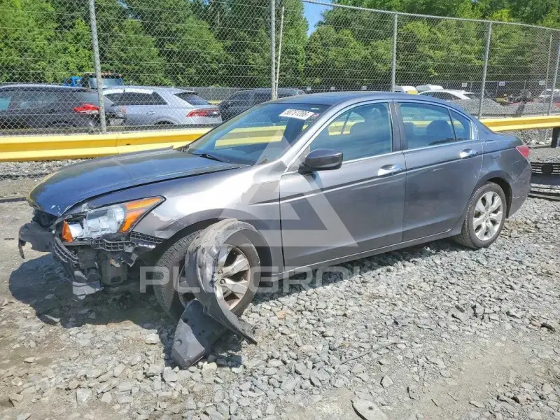 2008 Honda Accord фото