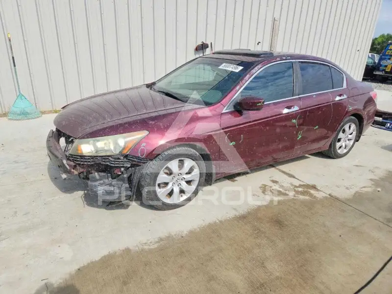 2008 Honda Accord photo