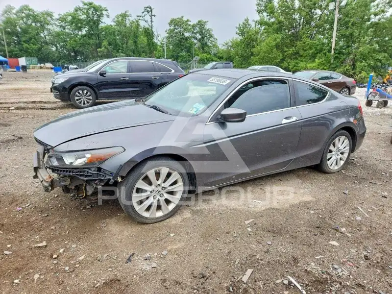 2008 Honda Accord photo