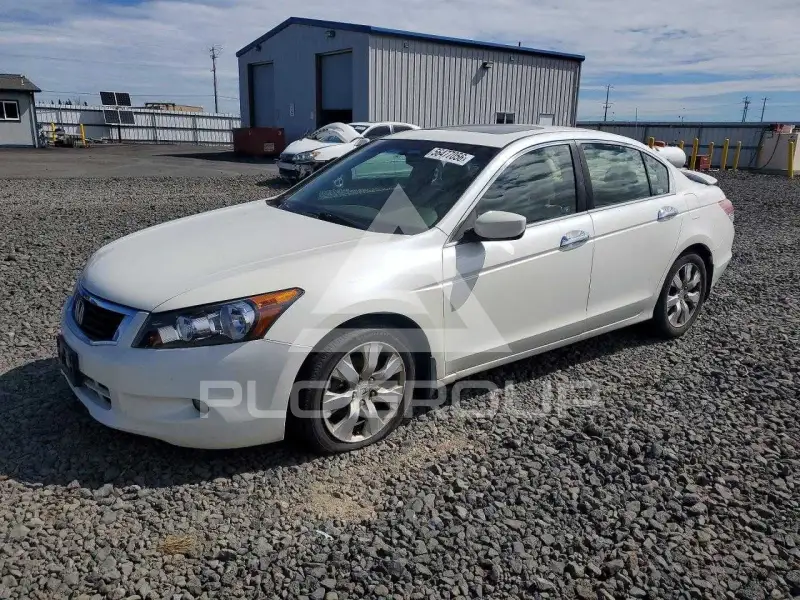 2008 Honda Accord photo