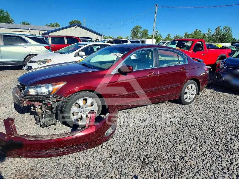 2008 Honda Accord photo