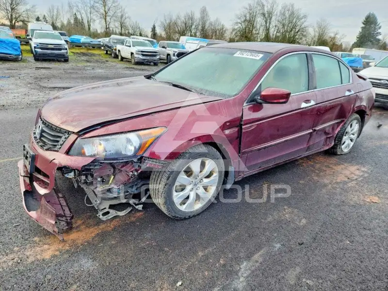2008 Honda Accord фото