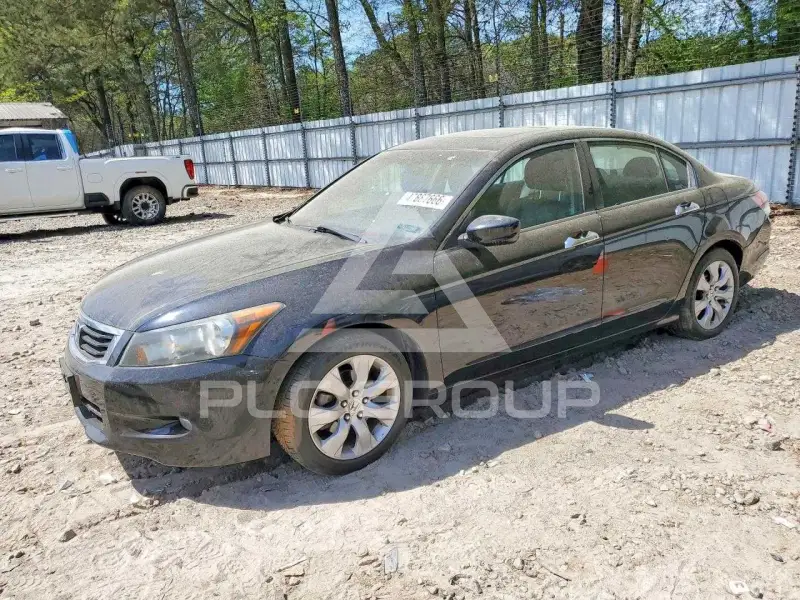 2008 Honda Accord фото