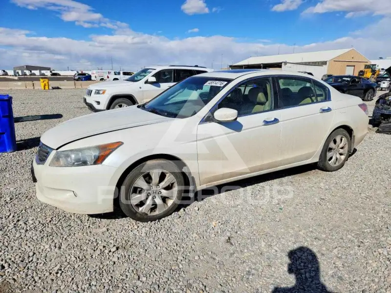 2008 Honda Accord фото