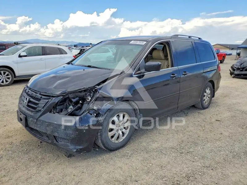 2008 Honda ODYSSEY photo