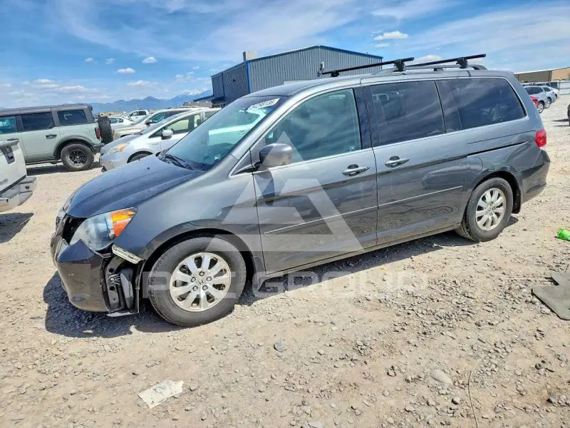 2008 Honda ODYSSEY photo