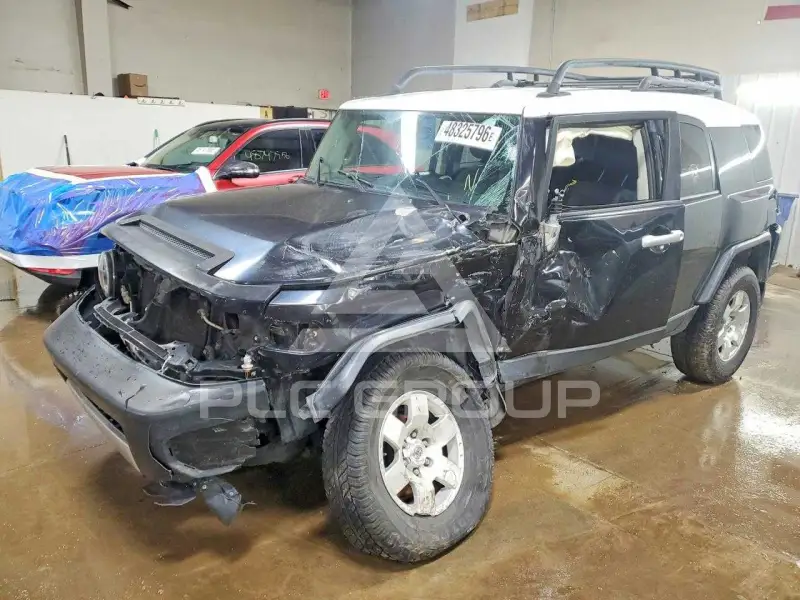 2008 Toyota FJ Cruiser фото