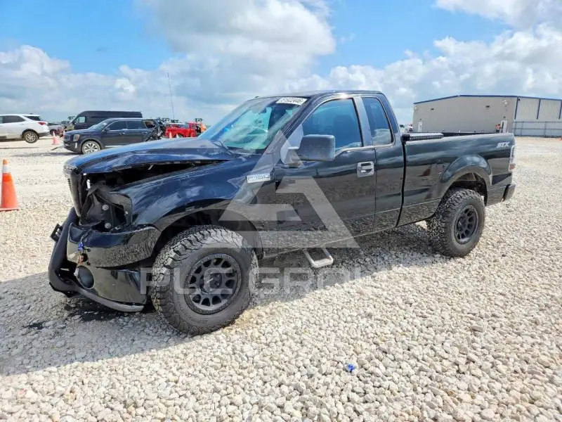 2008 Ford F-150 photo