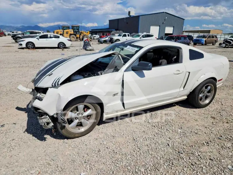 2008 Ford MUSTANG фото