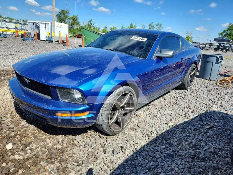 2008 Ford MUSTANG фото