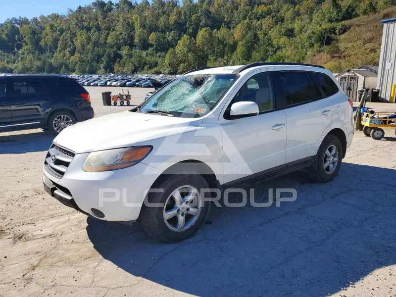 2008 Hyundai Santa Fe photo