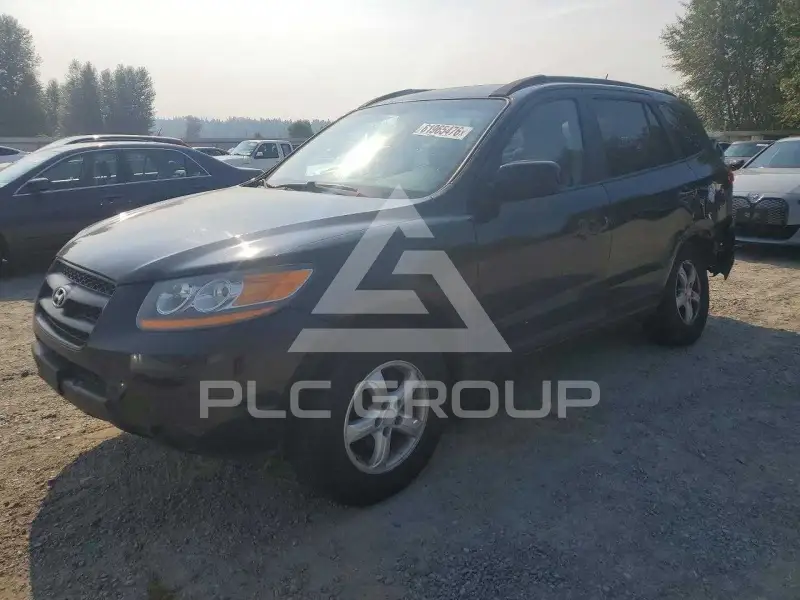 2008 Hyundai Santa Fe photo