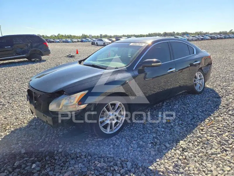 2009 Nissan MAXIMA фото