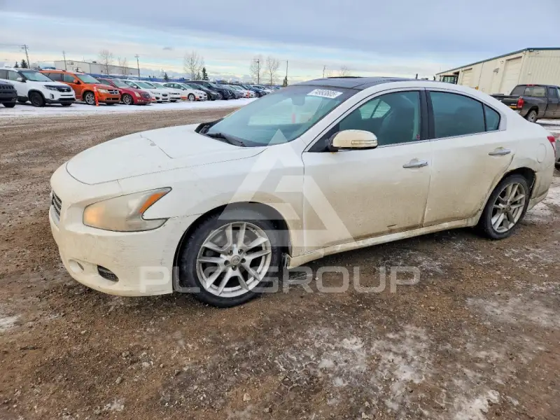 2009 Nissan MAXIMA photo