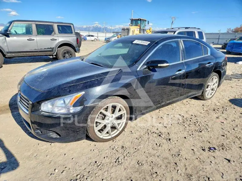 2009 Nissan MAXIMA фото