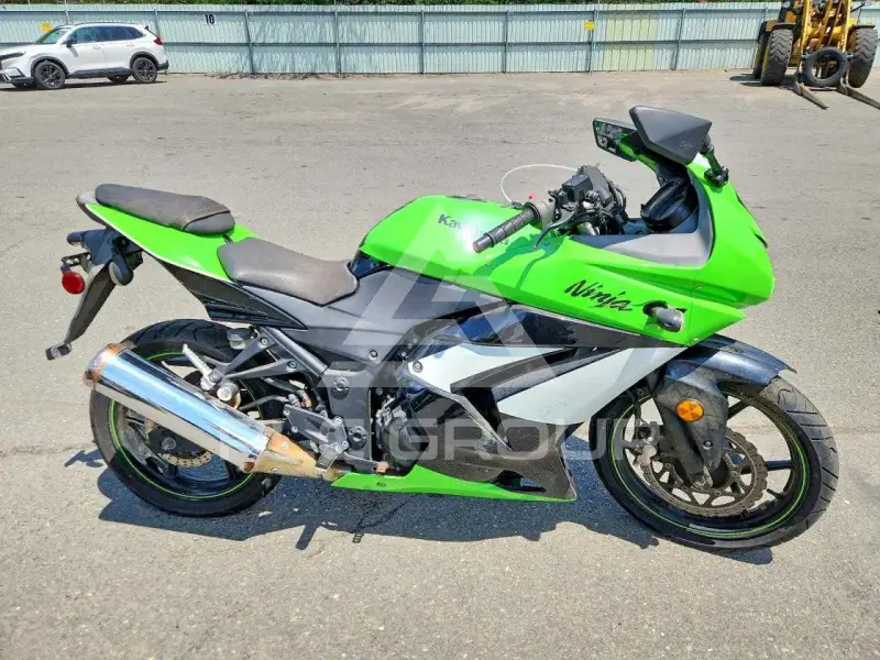 2009 Kawasaki  фото