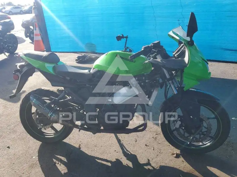 2009 Kawasaki Ninja250 фото