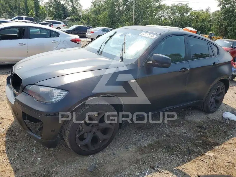 2009 BMW X6 фото