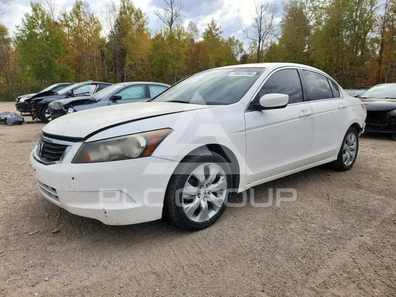 2009 Honda Accord фото