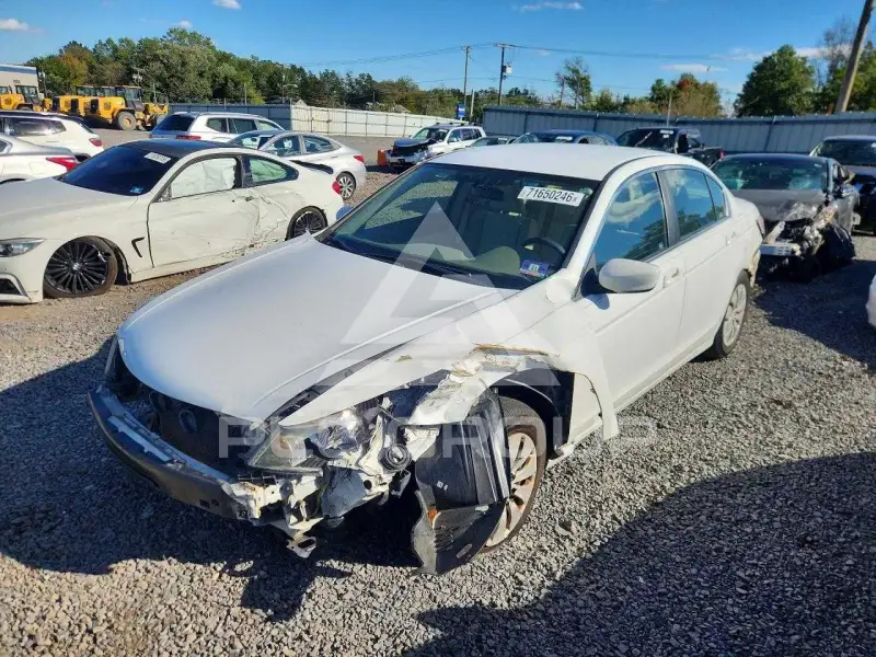 2009 Honda Accord фото