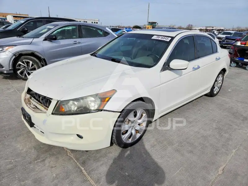2009 Honda Accord фото