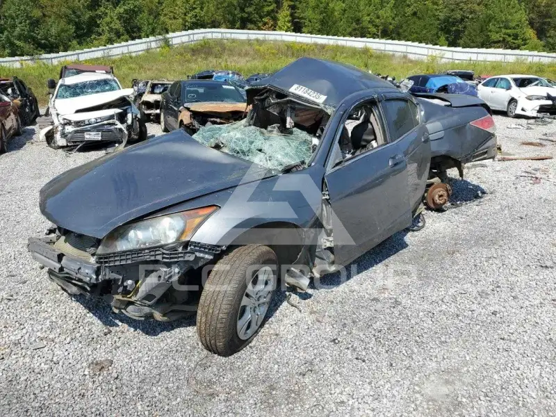 2009 Honda Accord фото