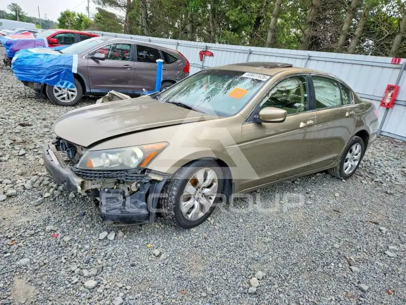 2009 Honda Accord фото