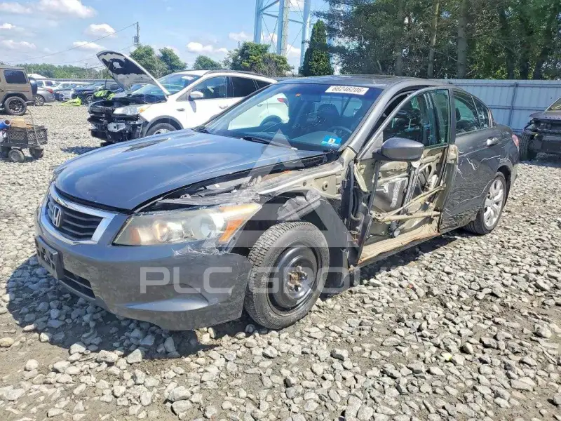 2009 Honda Accord фото