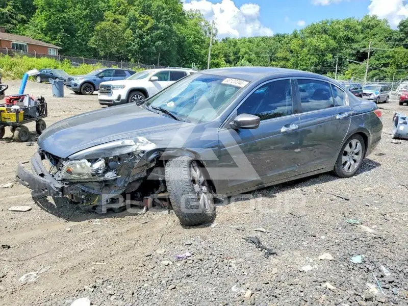 2009 Honda Accord photo