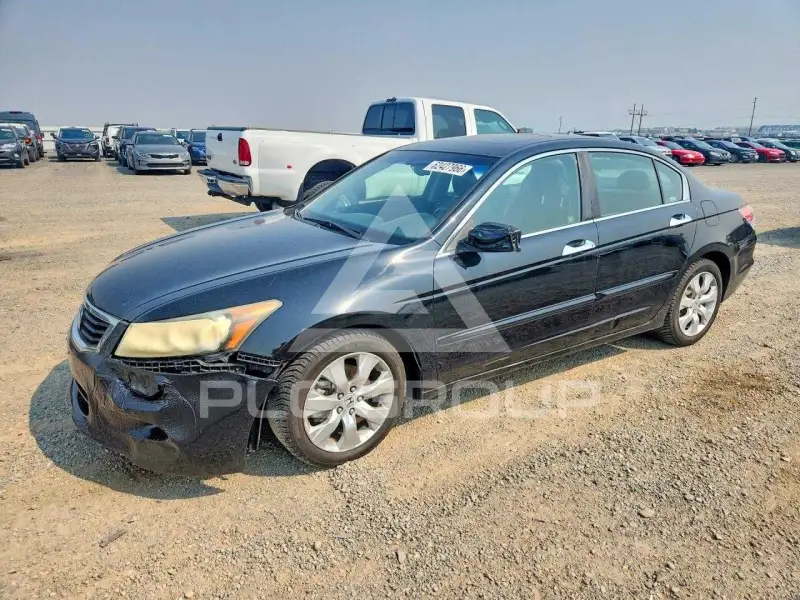 2009 Honda Accord фото