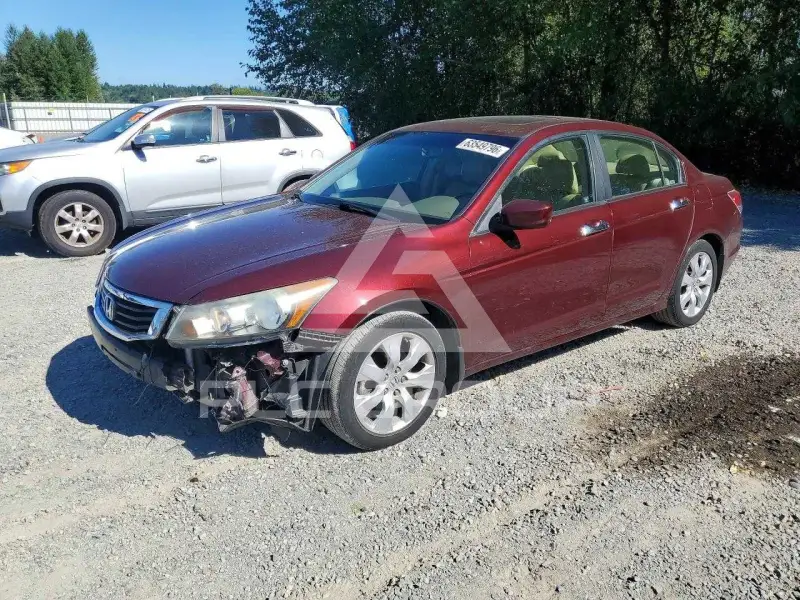2009 Honda Accord фото
