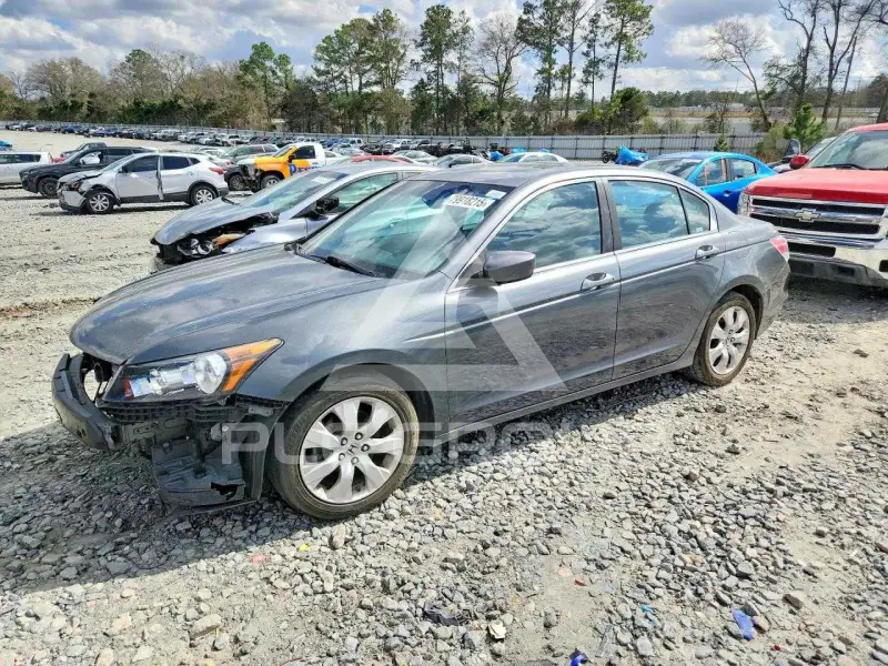 2009 Honda Accord фото