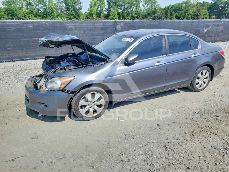 2009 Honda Accord фото