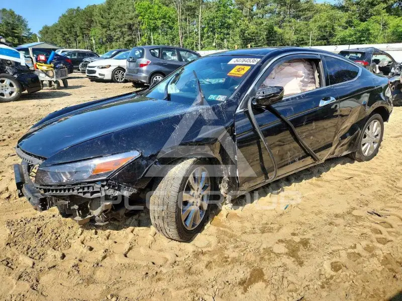 2009 Honda Accord photo