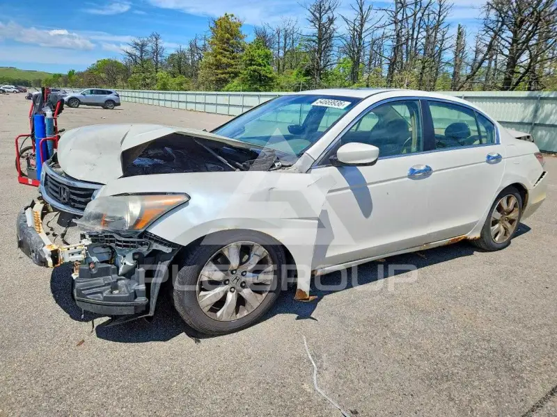 2009 Honda Accord фото