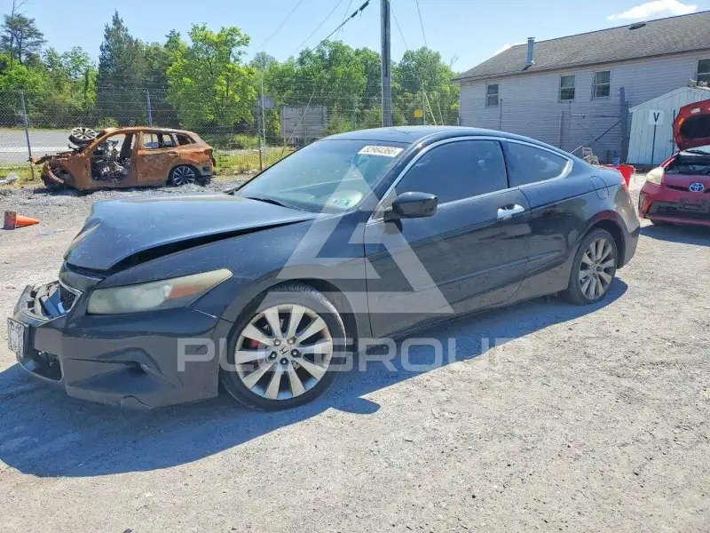 2009 Honda Accord фото
