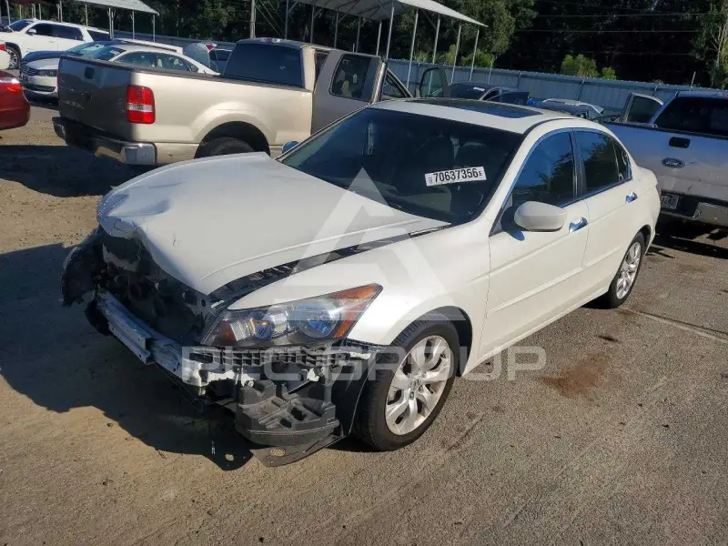 2009 Honda Accord фото