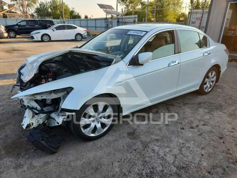2009 Honda Accord фото