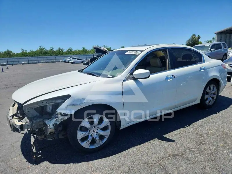 2009 Honda Accord photo