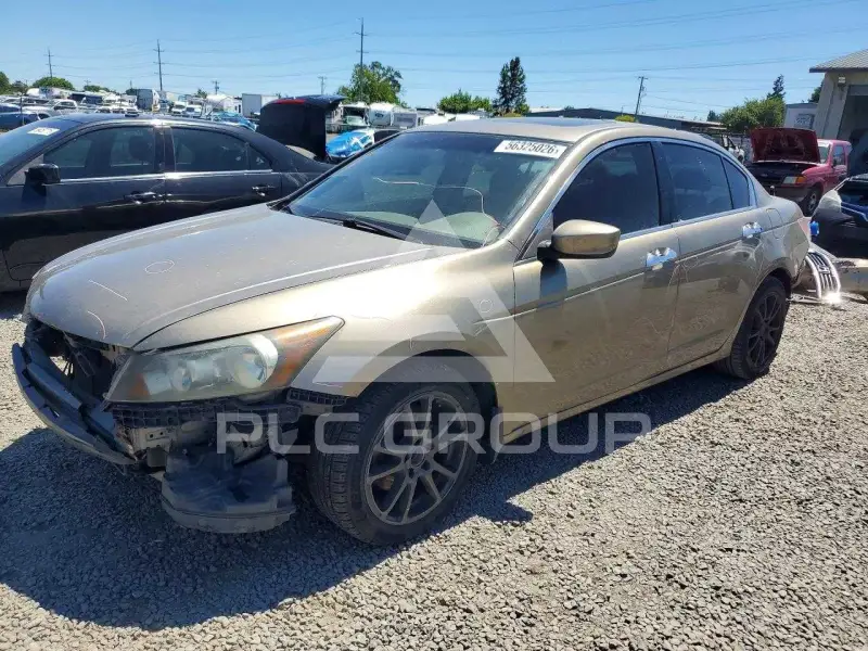 2009 Honda Accord фото