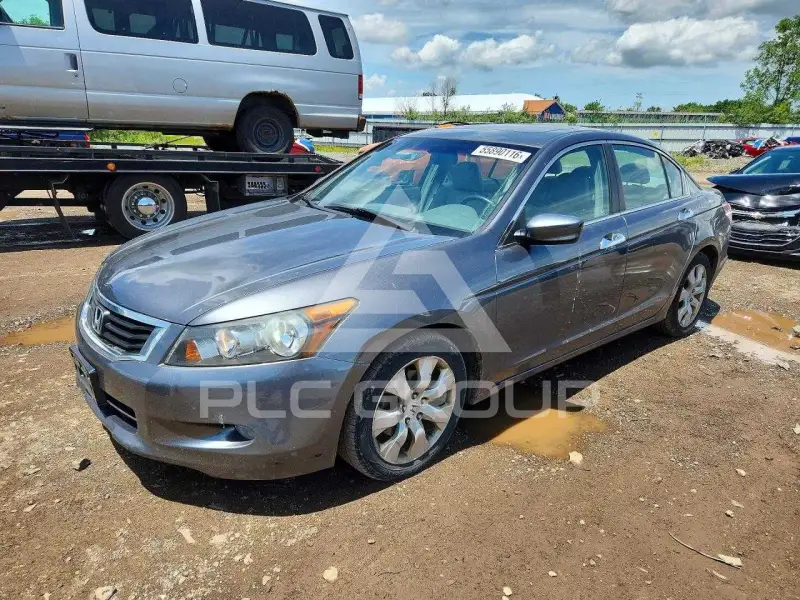 2009 Honda Accord фото