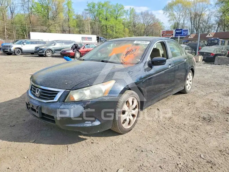 2009 Honda Accord фото