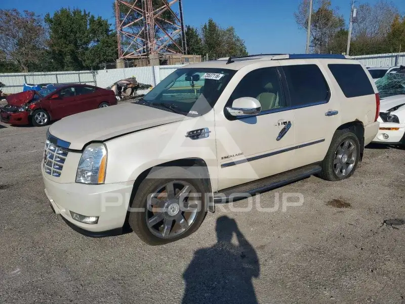 2009 Cadillac ESCALADE фото