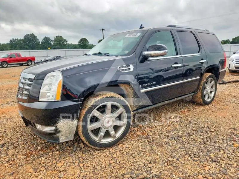 2009 Cadillac ESCALADE photo
